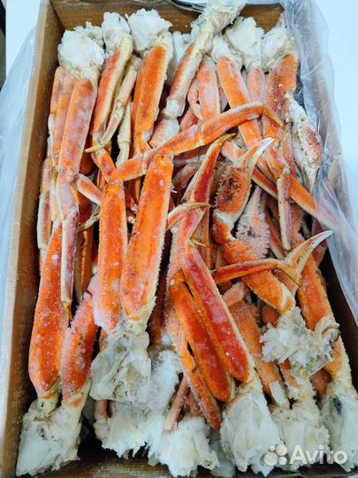 Краб стригун клешни