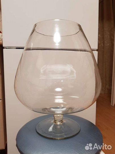 Аквариум бокал