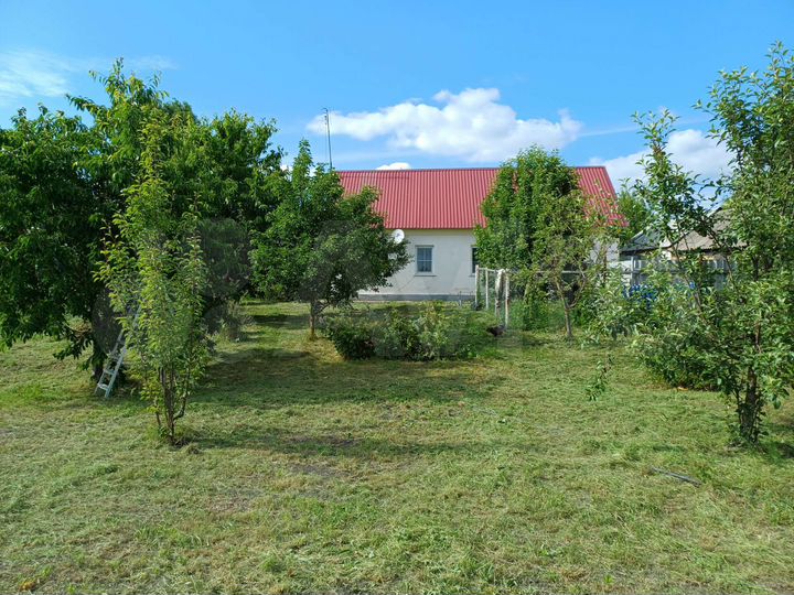 Дом 60 м² на участке 29 сот.