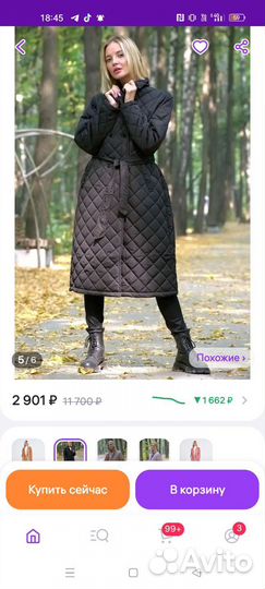 Димесезонное пальто