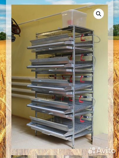 Клетка для перепелов