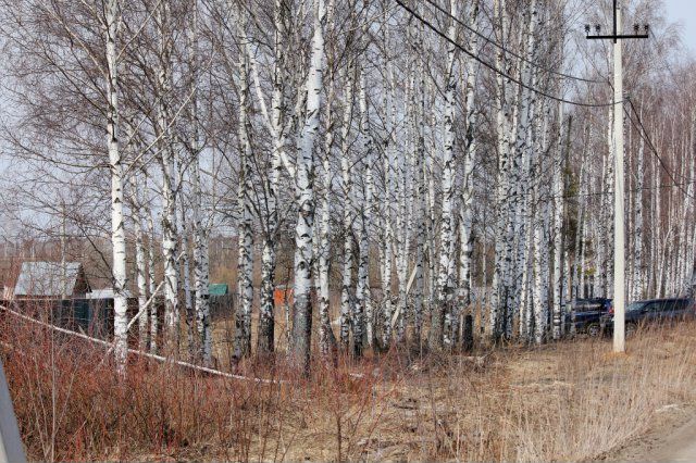 Участок 11 сот. (СНТ, ДНП)