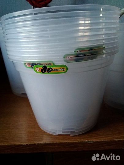 Горшки цветочные для орхидей 80р