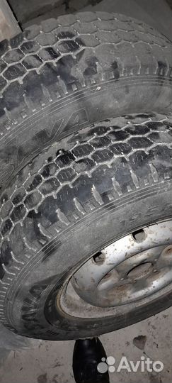 Gislaved Nord Frost C 195/70 R14