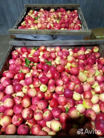 Фермерские продукты