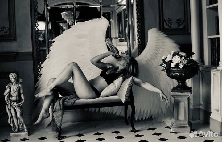 Крылья Ангела в аренду