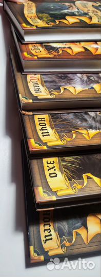 Э. Хантер - Коты воители, 4 цикл (комплект)