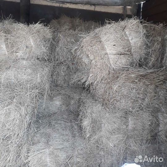 Сено в тюках