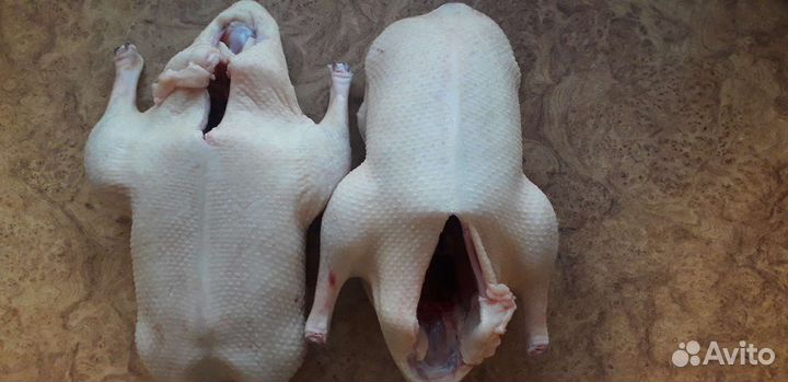 Утка, гусь,индоутка домашнее мясо