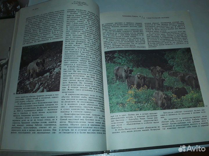 Книги, отправляю