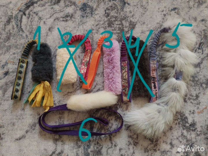 Много разных вещей для собак