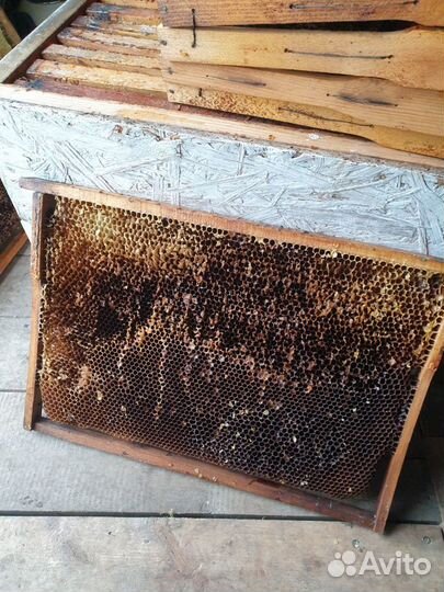 Ульи для пчёл начинающему пчеловоду