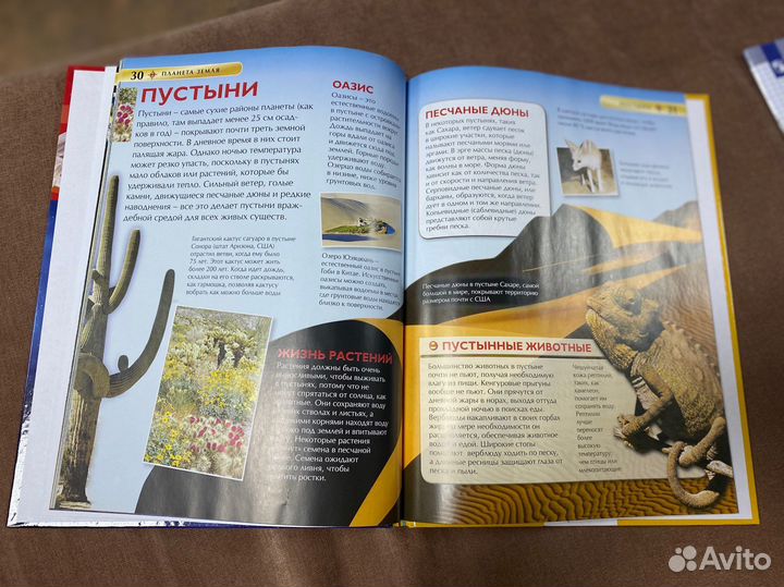 Энциклопедия Планета Земля