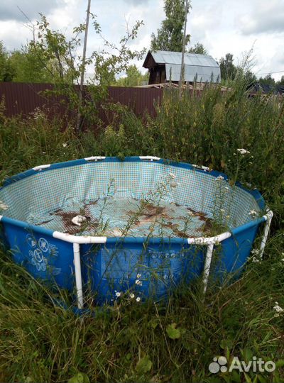 Каркасный бассейн бу