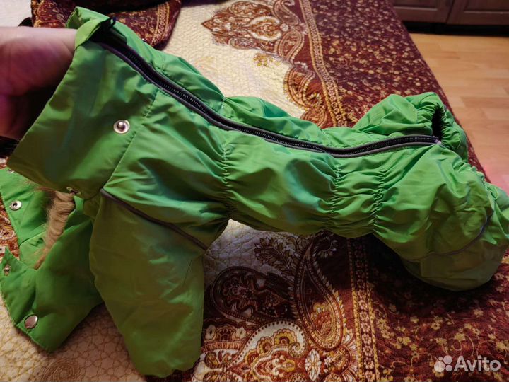 Собачий костюм