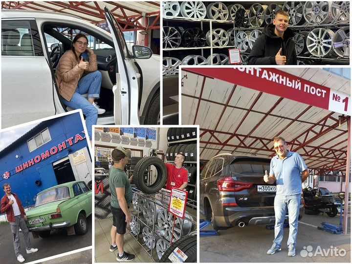 Bridgestone Blizzak DM-V2 225/65 R17