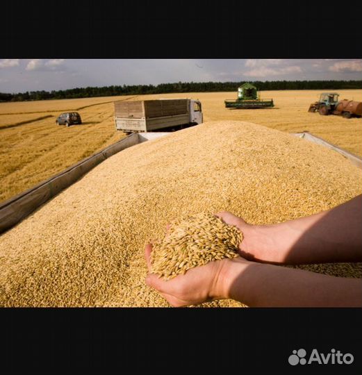 Комбикорма, зерно, сено, солома