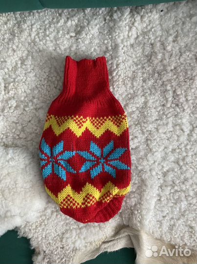 Одежда для собак