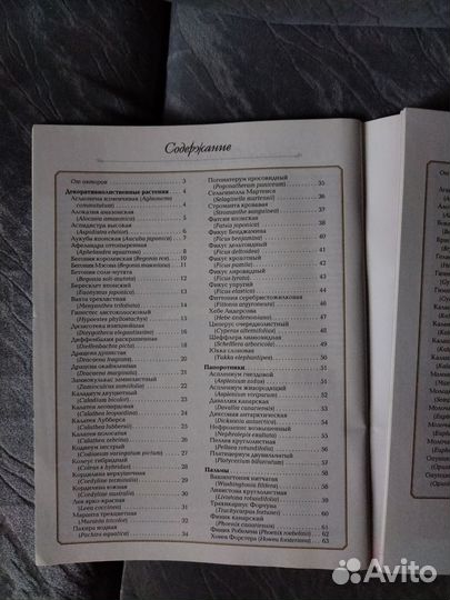 Книга комнатные растения суккуленты кактусы