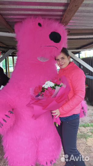 Услуги аниматора