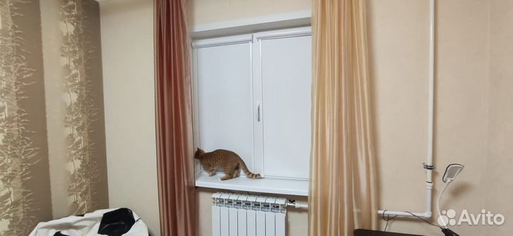 Рулонные шторы от производителя