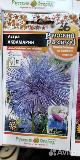 Семена астры,паслена