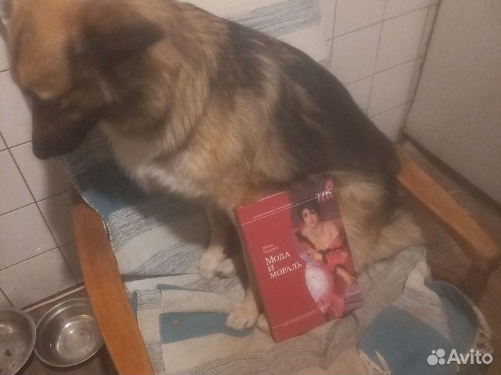 Книга Мода и мораль