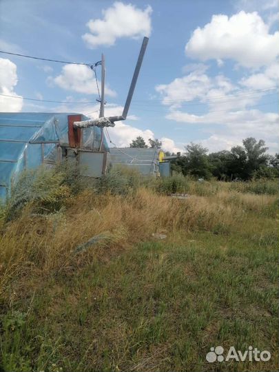 Аренда теплиц