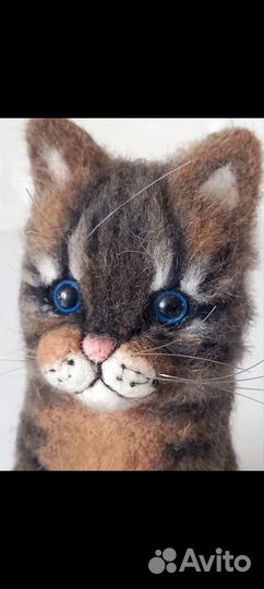 Котик из овечьей шерсти