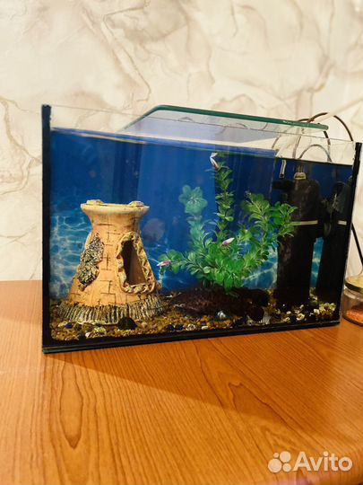 Аквариум с рыбками