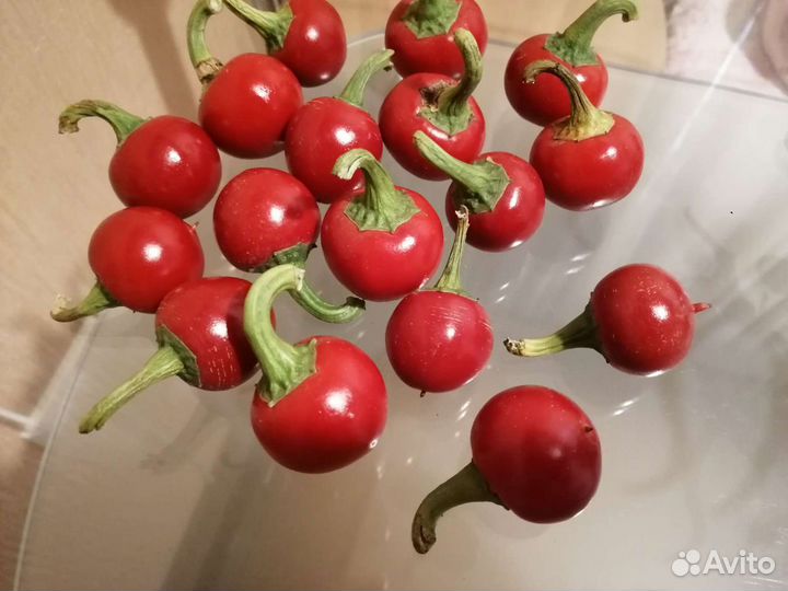 Семена перца острого