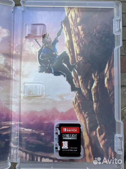 Игра на Nintendo switch zelda