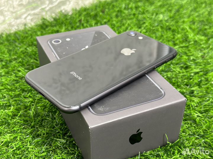 iPhone 8 64 Gb