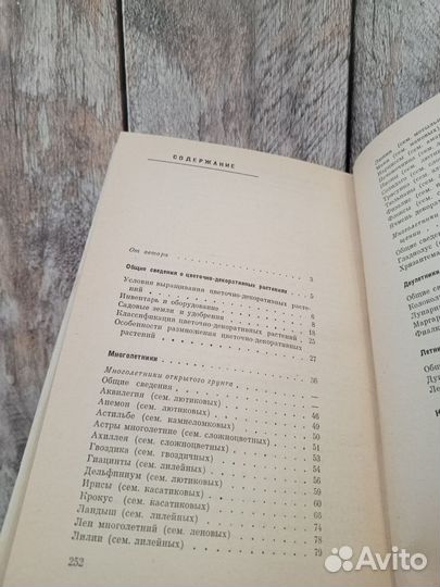 В. А. Родина - Цветоводство в школе