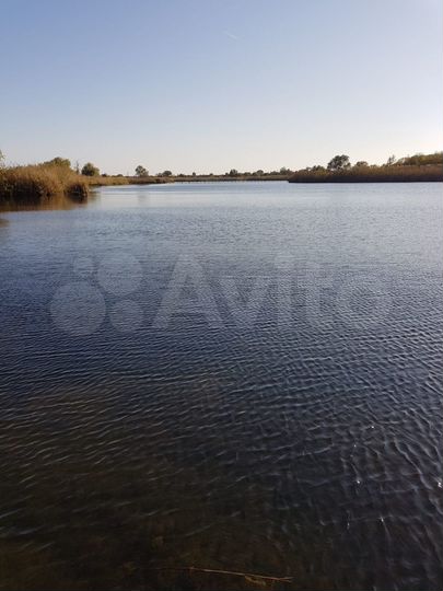 Участок 100 сот. (ИЖС)