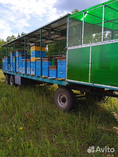 Пчелоприцеп
