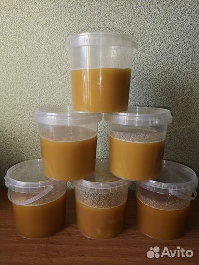 Алтайский мёд (горное разнотравье) и медовые соты