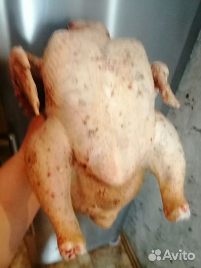 Мясо домашнего бройлера