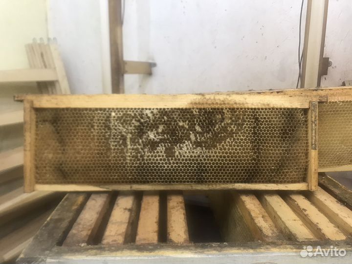 Рамки с сушью