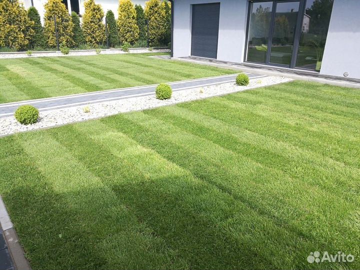 Газон рулонный, укладка газона на участке