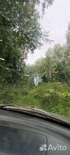 Мед разнотравие с гречкой