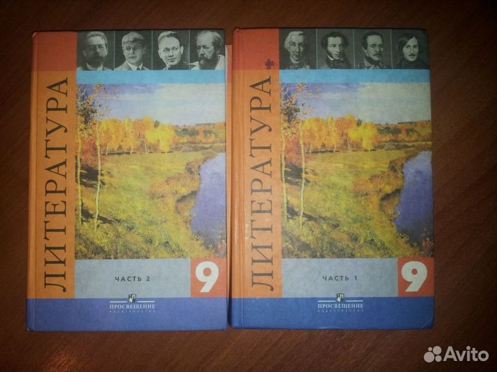 Литература 9класс