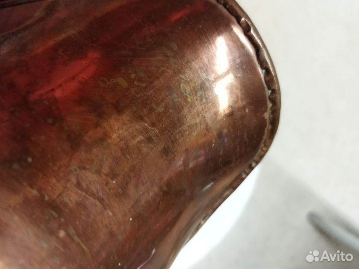 Зольник медный