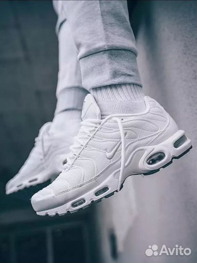 Кроссовки Nike air max tn plus terrascape