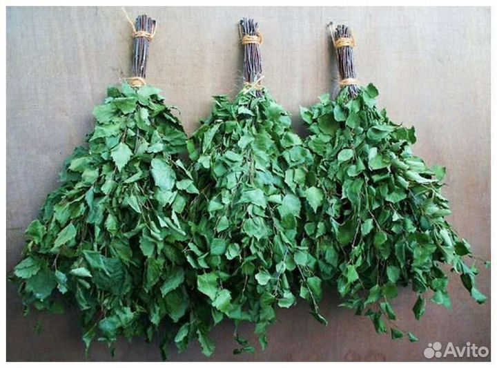 Березовые веники