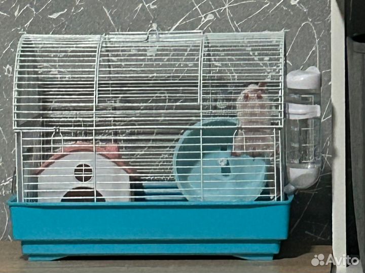 Клетка для грызунов