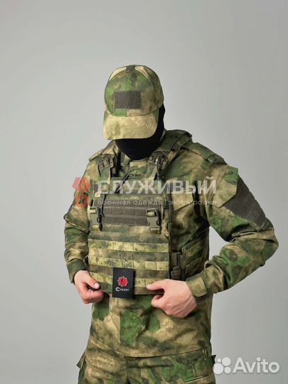 Плитник Сухопут