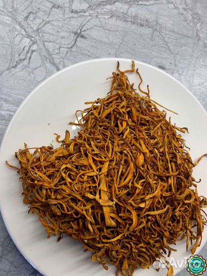 Кордицепс гриб