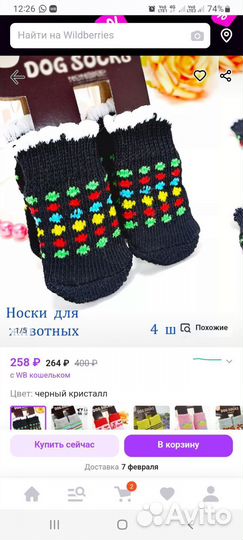 Носки для собак