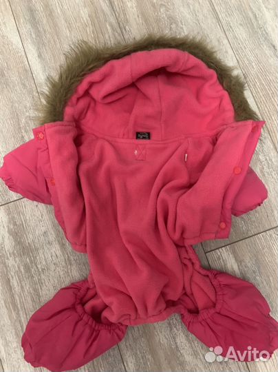 Одежда для собак мелких пород